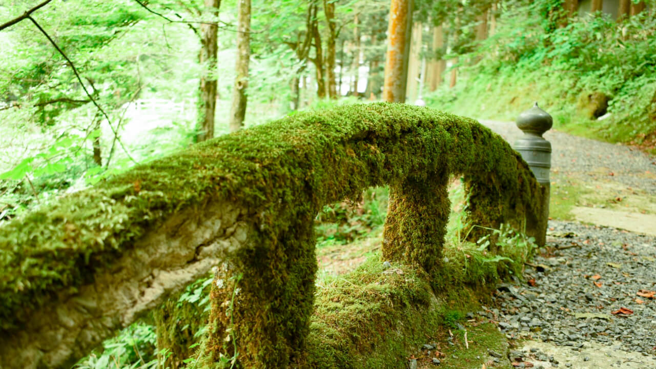 苔が生い茂った石橋