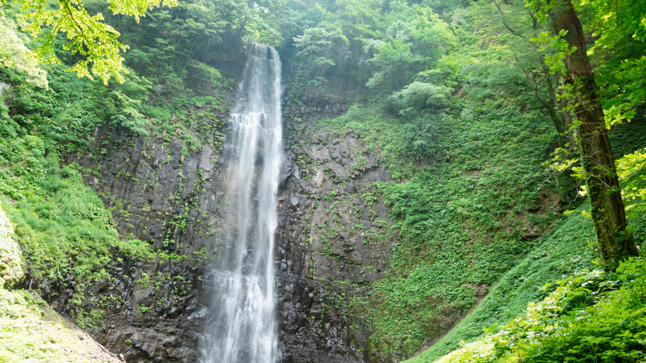 玉簾の滝は約63メートルの高さから勢いよく水が流れています。