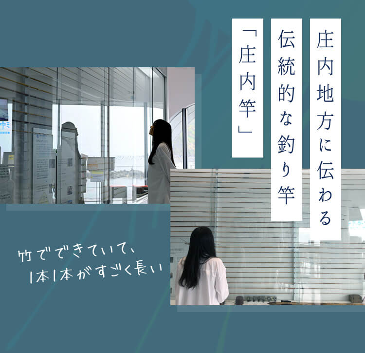 庄内地方に伝わる伝統的な釣り竿「庄内竿」。竹でできていて、1本1本がすごく長い